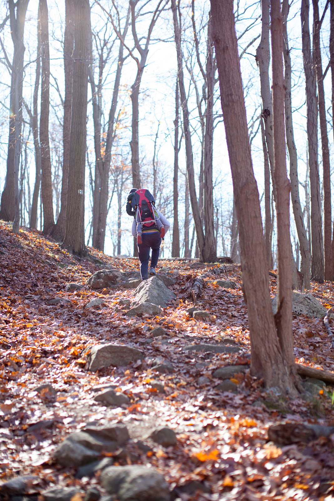 seven-lakes-ny-hike-4