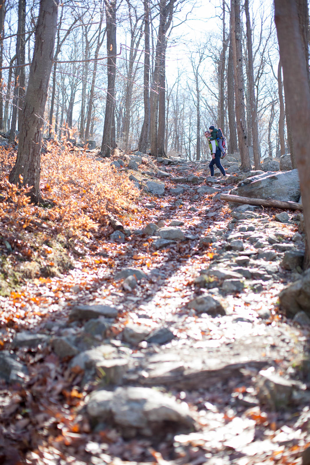 seven-lakes-ny-hike-5